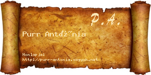 Purr Antónia névjegykártya